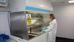 Ethanol Stain Cabinet - Integrity Cleanroom
